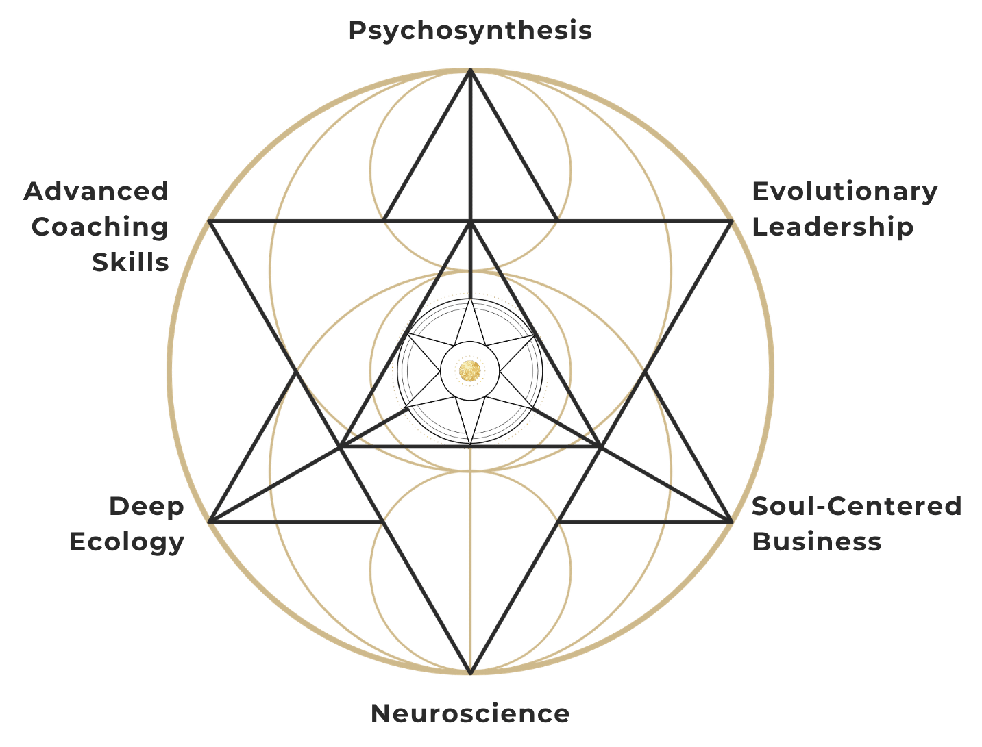 Psychosynthesis Life Coach  Leadership Certification Diagram of Themes